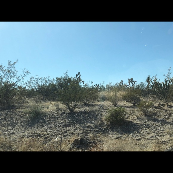 Meet your Posher, Julia - Picture 1 of 1